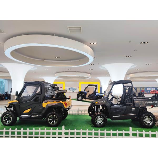 1000W Single-cylinder Water-cooled Engine Two-drive Chain Drive Hisun 250cc ATV with 1