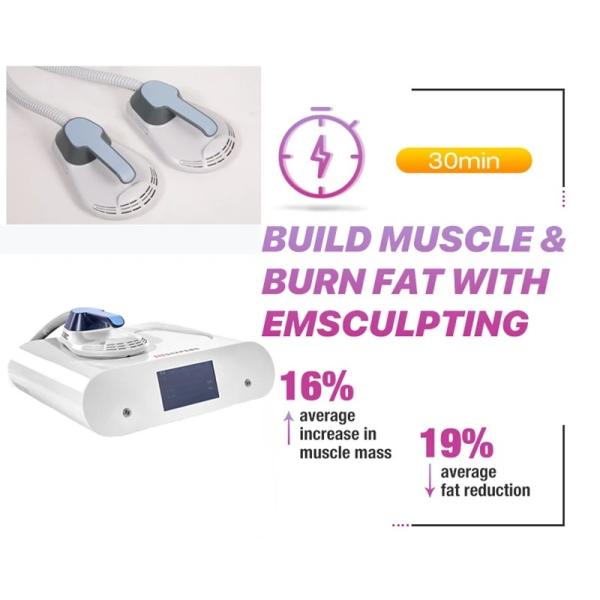2 Handles Home Use Ems Sclupt Weight Loss Hi Emt Neo Muscle Stimulate Machine