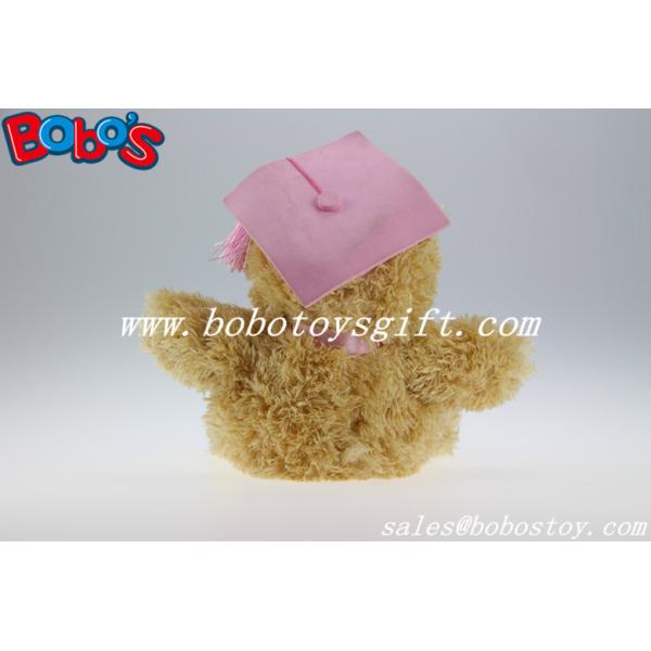 6" Plush Education Teddy Bear With Pink Crazy Hats