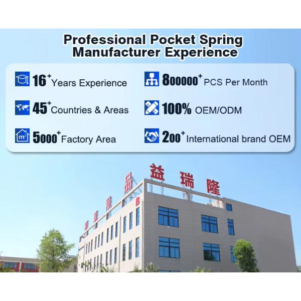 Customized Size Pocket Sofa Cushion Spring Seat Independent Pocket Coil Spring