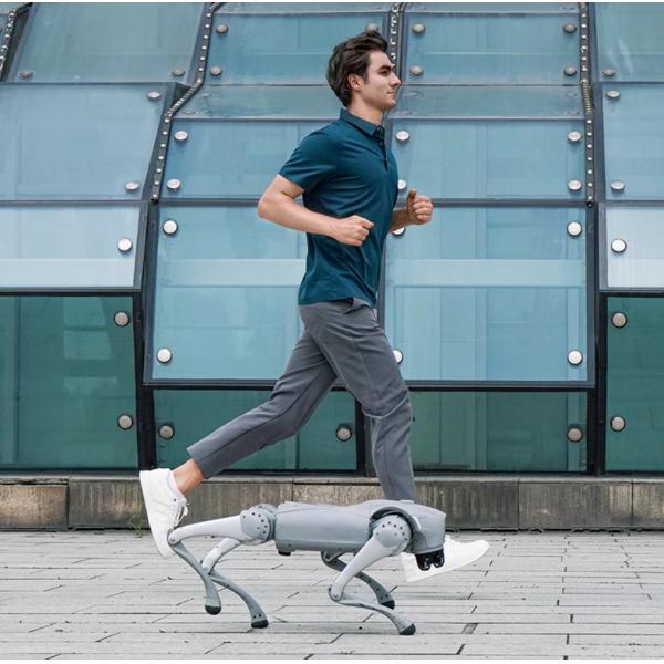 Meet Your Perfect Companion Voice AI Large Model Robot Dog Compatible with Android and iOS