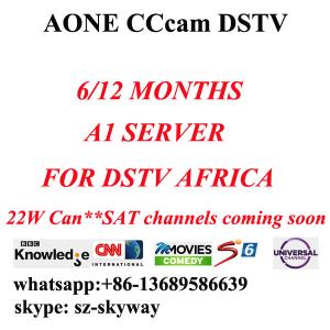 China 6 month/One year A1 cccam account Aone account A-one All in one account for dstv wholesale