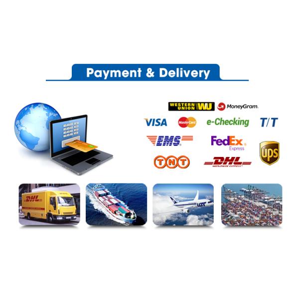 Cooling Poultry Farm Wall Exhaust Fan Greenhouse Ventilation Fan Heavy Duty Wall Mounted Fan