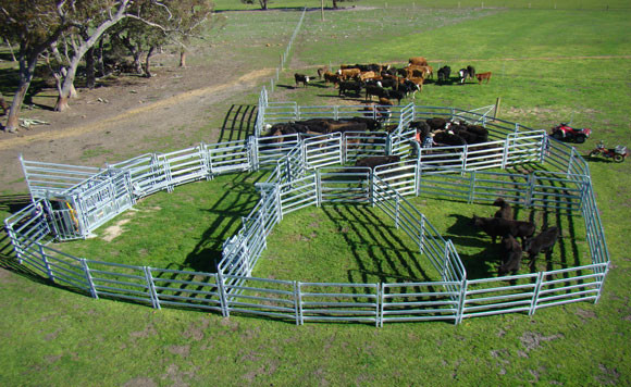 Oval Bars Livestock Lightweight CE Heavy Duty Cattle Panel 1.6x2.1m 1.8x2.1m