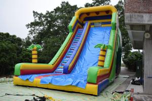 China Simple Large Inflatable Dry Slide / Bright Colour Palm Tree Slides wholesale