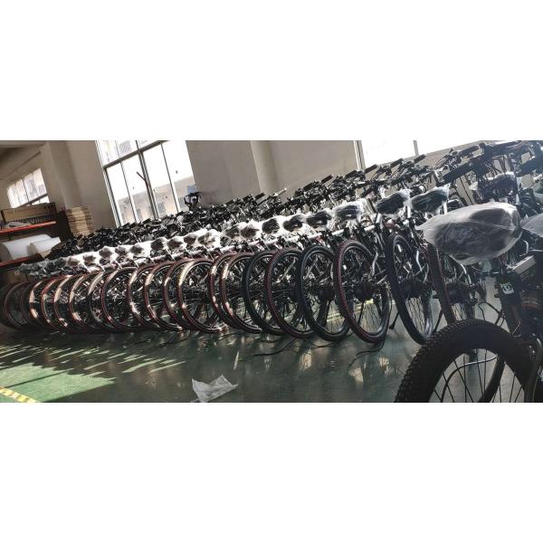 Two Wheel Mini Electric Fat Bike Big Tyres Rechargeable 36v Battery