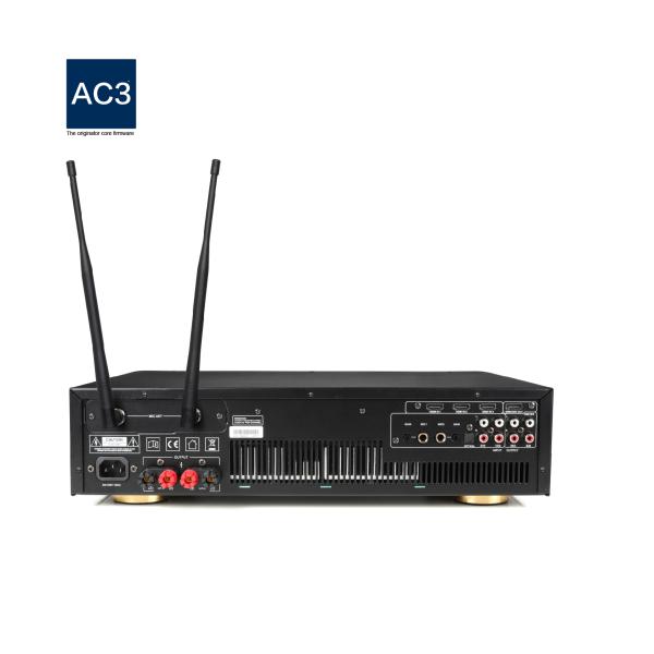 Panel Design 250W AC110V Digital Karaoke Power Amplifier