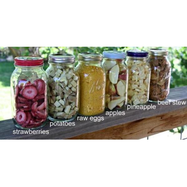 Electrical Food Vacuum Freeze Dryer Machine Small Noise High Automation Level