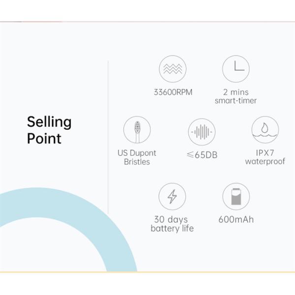 Long Battery Life Sonic Electric Toothbrush IPX7 Waterproof Comfortable Grip