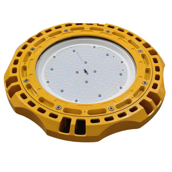 ATEX Explosion Proof IP66 Light 100W Ceiling Mounted High Cabin LED Lighting Warehouse Lighting