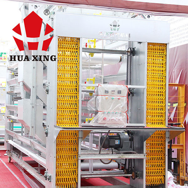 Eggs Collecting Layer Poultry Farming Equipment , Steady Poultry Automation