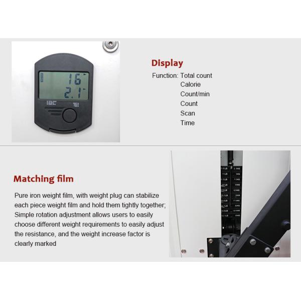 Stainless Steel Frame Seated Leg Extension Fitness Equipment For Commercial Gyms