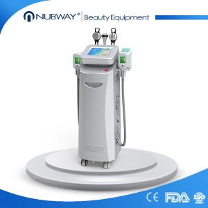 China Cryolipolysis fat freezing / cryolipolysis cavitation rf / cryolipolysis slimming machine on sale