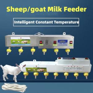 China Piglet Sheep Goat Milk Feeder Equipment Inteligent Constant Heating wholesale