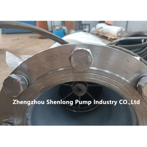 Seafood Sea Water Lifting Submersible Pump