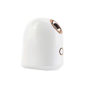 China Mini Salon White 280W 50Hz Nano Ionic Facial Steamer wholesale