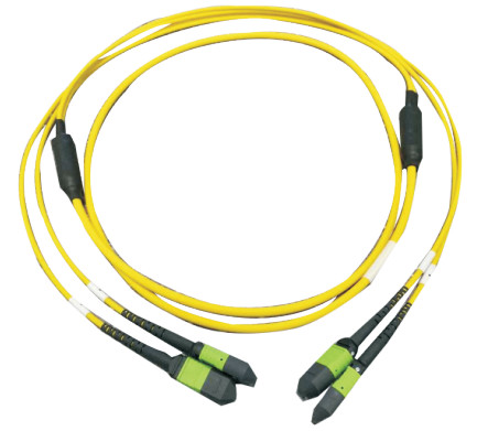 12 Core Fiber Optic MPO OM3 40Gbps Protocols Aqua POLB CATV