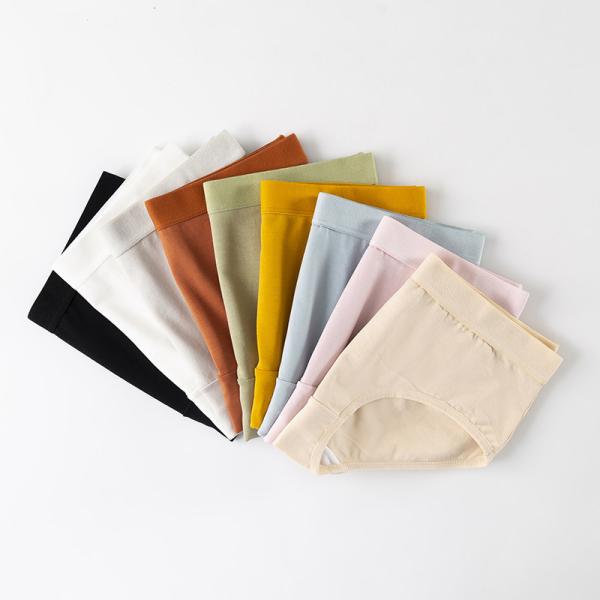 Multi Color Women'S High Rise Cotton Underwear ODM Accepatable