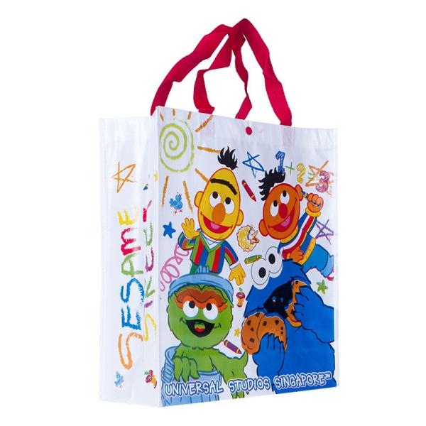 120GSM Laminated Non Woven Bag