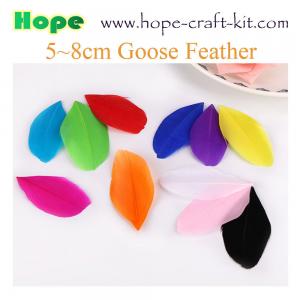 China Various size of goose feathers, turkey feathers, chicken feathers, peacock , ostrich feathers for hobbies and kids DIY on sale