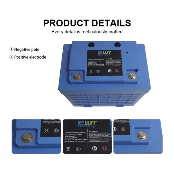 Promotional 12V Lithium Iron Phosphate Battery Pack 12.8v Lifepo4 Battery