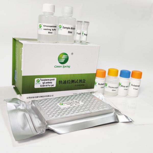 Toxoplasma Gondii IgG ELISA Toxoplasma Rapid Test Kit For Pet 96 Wells/Kit GMP ISO9001