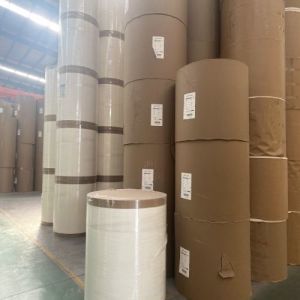 Manufacturer Wholesale Substitute PE Water-Based Materials Coated White Kraft