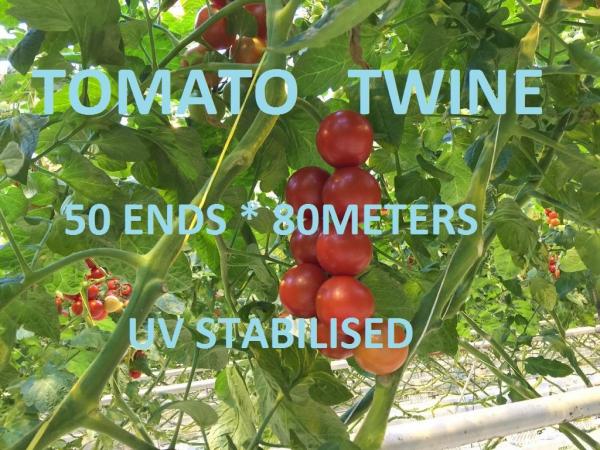 Quality Greenhouse Tomato Tying Twine Colorful Plastic Garden Packing Raffia String for sale