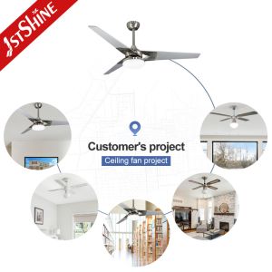 Plywood Blade Modern LED Ceiling Fan 52 Inch DC Motor Home Using