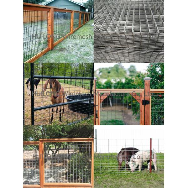 Livestock Farm 2x2inch Welded Wire Mesh Panels Galvanised Color ISO approval