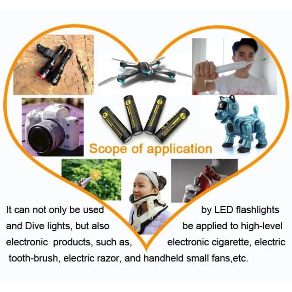 Fast Charging Li Ion Rechargeable Batteries 2900mAh With USB Type C Port OEM