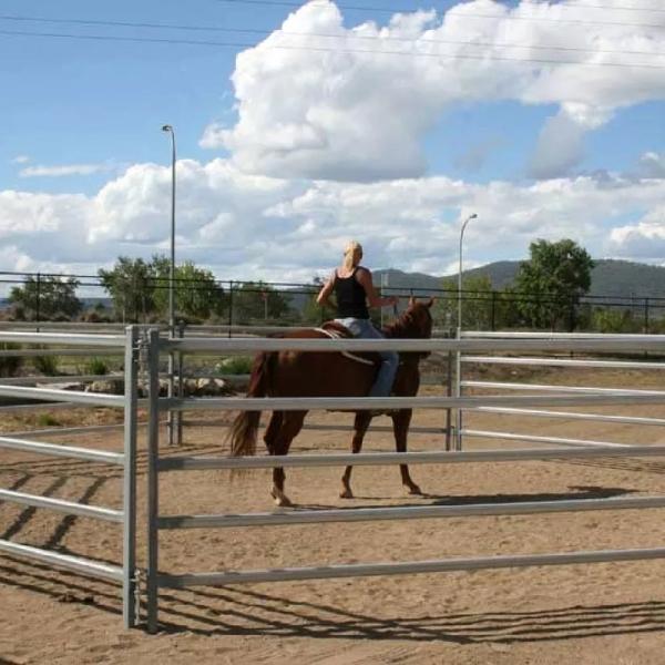 Horse Goat Corral Fence Panels Heavy Duty Q235 Q345 Carbon Steel