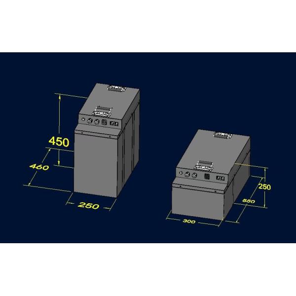 Electric Vehicle Battery Lithium 48v 100ah 150ah 200ah Built In BMS