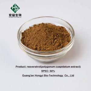 China Herbal Extract Powder Bulk Resveratrol Powder Purity 10%-98% on sale