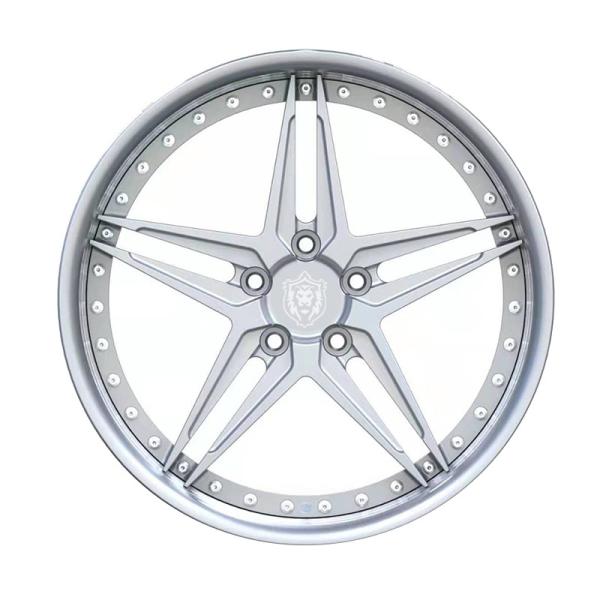 19-inch two-piece custom forged alloy wheels with deep concave type and brushed silver wheel rims