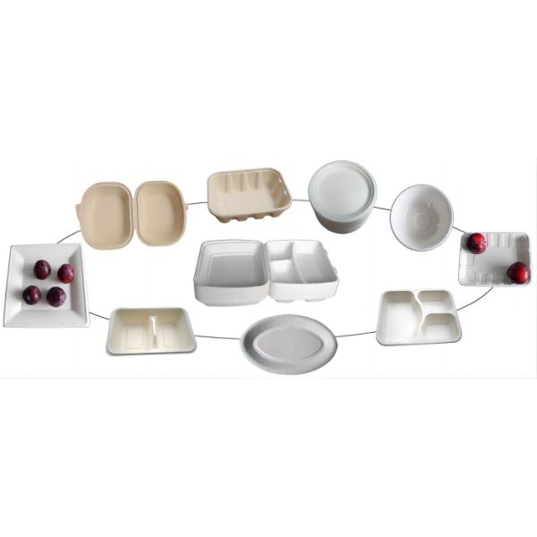 Biodegradable Paper Tableware Making Machine Flexible And Precise Production