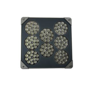 China 160W LED Canopy Lights IP66 100-277Vac explosion proof lighting on sale