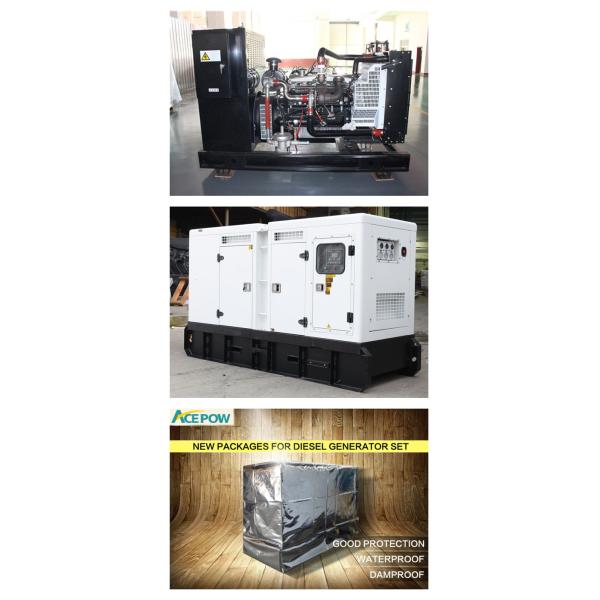 40KW 50KVA Natural Gas Standby Generator , Natural Gas Powered Electric Generator