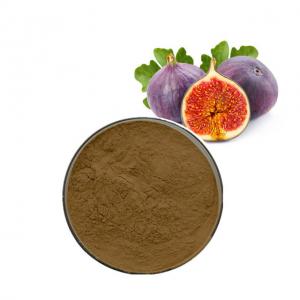 China Lower Blood Pressure Fumaric Acid Ficin Fig Fruit Powder Fig Extract Fig Powder wholesale