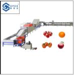automatic fruit apple washing and waxing and sorting macine fruit sorting