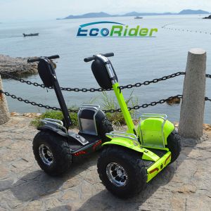 China 100V - 240V Electric Chariot Scooter Waterproof Electric Scooter Adult on sale