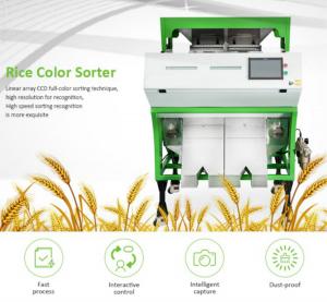 China CCD Camera Rice Color Sorter Machine Optical Rice Color Sorting Machine on sale