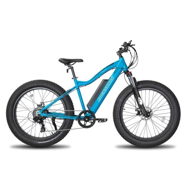 Wholesale 26-inch 500W 48V Beach Snow Electric Bikes