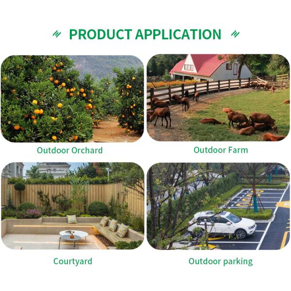 Outdoor Waterproof Wireless Solar Camera 360 Degree PTZ Wifi Security Camera