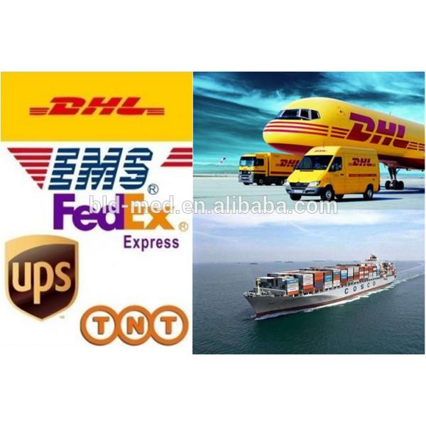 Adult soft and clean models Electric Toothbrush with Dupont nylon