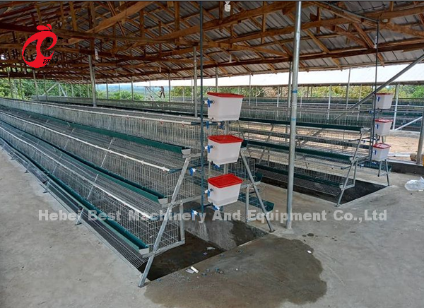 A Type 160 Capacity Layer Battery Cage System , Egg Laying Chicken Cage Sandy