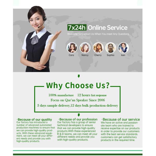 Led Ozone Germicidal Timing UV Ultraviolet Light