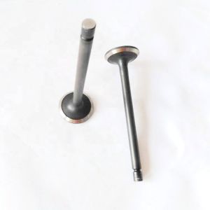 KA24D Machinery Parts Engine Valve For Car Engine Parts 13201-53F02 13202-53F00