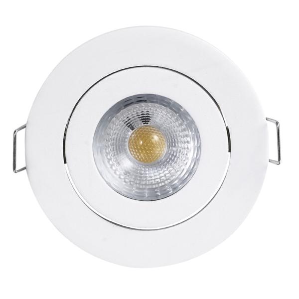 10W 800lumens Fire Rated IP65 Adjustable Downlight Tiltable