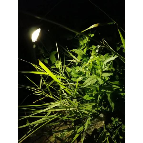 3.4V 1500mAh Solar Powered Garden Lights IP65 Waterproof 0.7W With Spike ON OFF